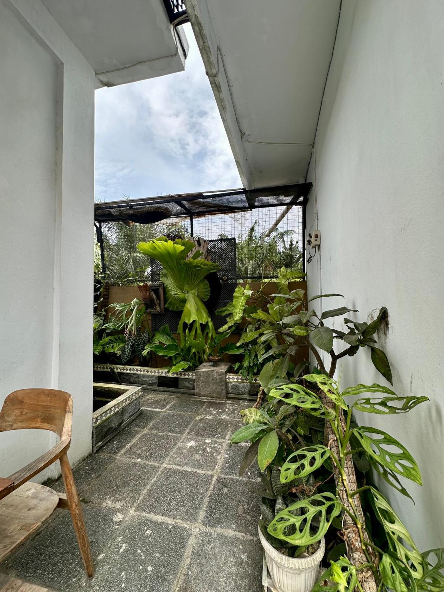 Rumah Kita Canggu Kültér fotó
